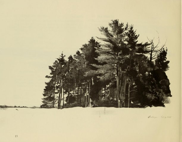 安德鲁·怀斯《Andrew Wyeth dry brush and pencil drawings》